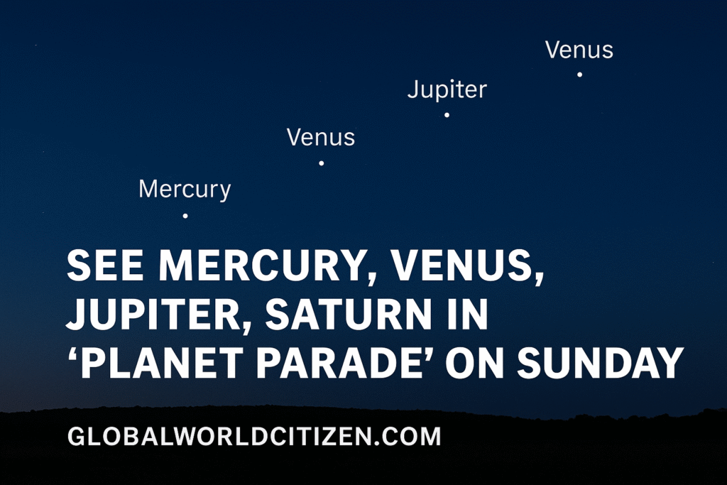 globalworldcitizen.com